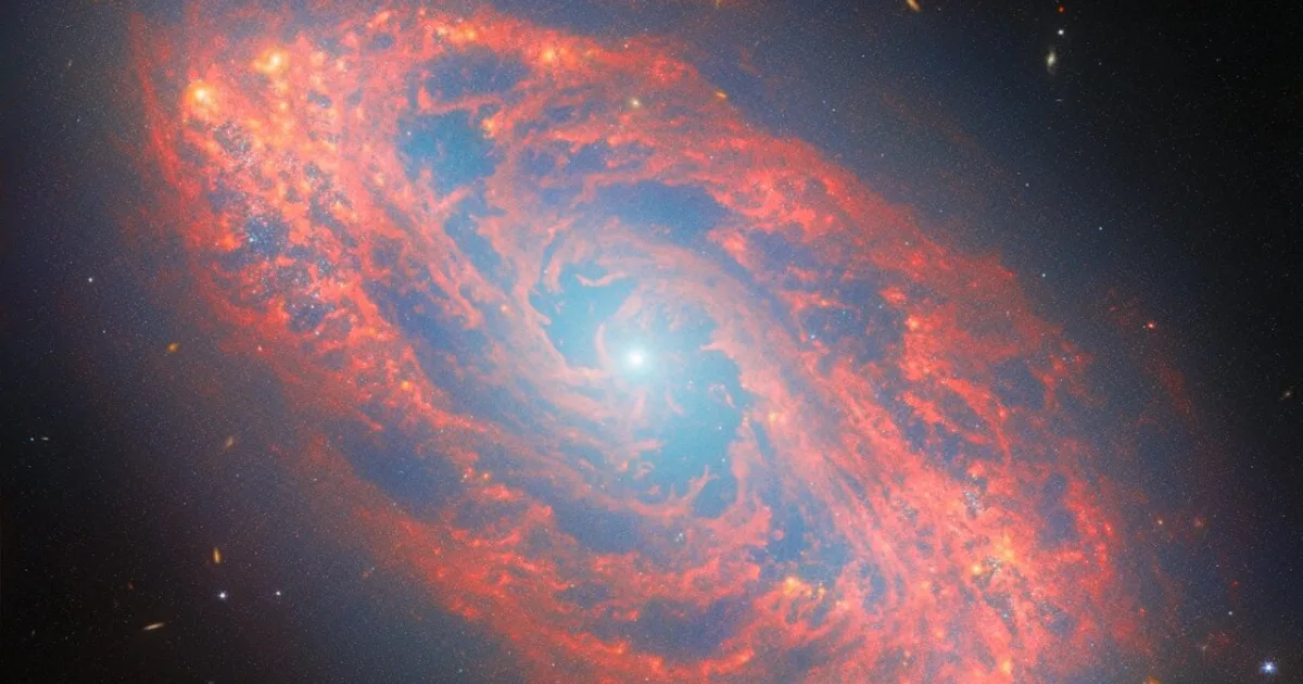 A composite of mid-infrared and near-infrared data shows NGC 5134's glowing blue stellar core surrounded by sweeping red-orange arms of warm dust and star-forming gas clouds. Credit: ESA/Webb, NASA & CSA, A. Leroy.