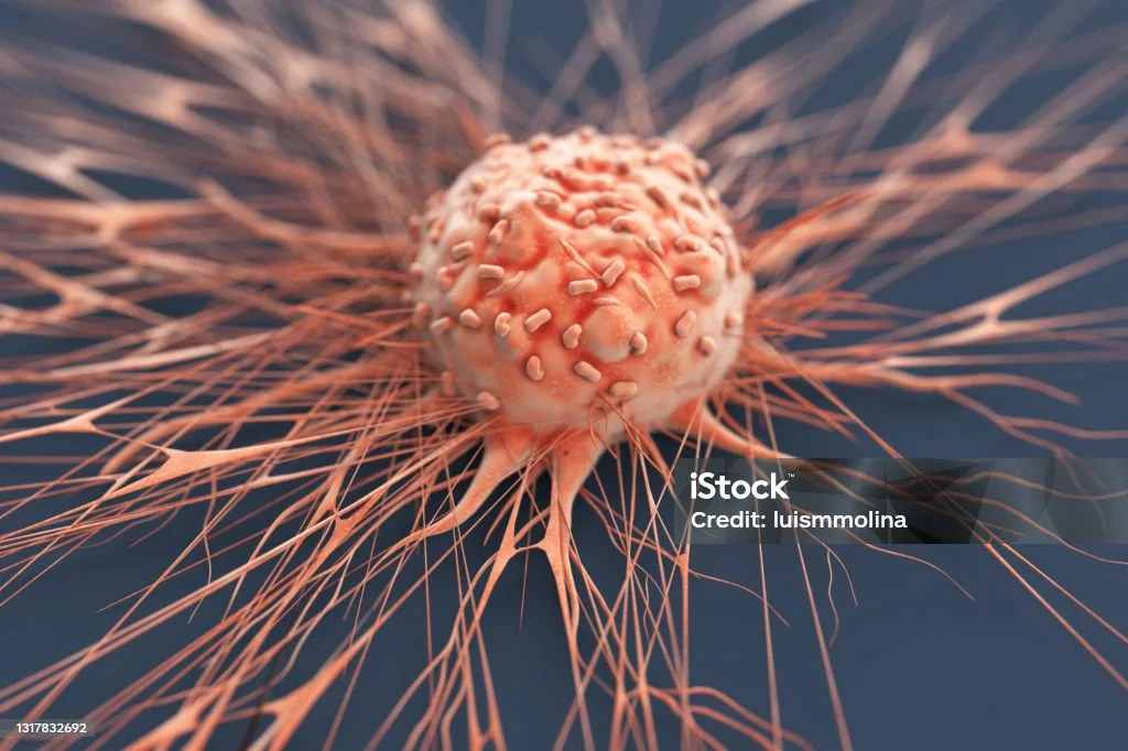 When riboflavin runs low inside a cancer cell, the protein FSP1 loses its cofactor and breaks down — leaving cell membranes exposed to runaway oxidative damage. This sequence, visualised here as a cascade of lipid peroxidation events, is the core mechanism described in the new Nature Cell Biology study. Illustration concept: Skafar et al., University of Würzburg, 2026.