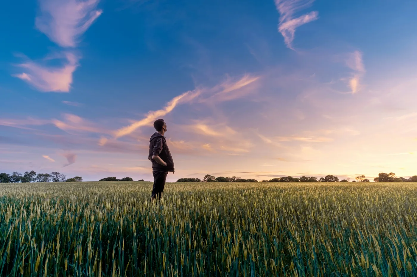 A person stands in an open wheat field at twilight, looking upward into a sweeping sky — a quiet image of the mind reaching beyond the familiar, much like the dreaming brain does every night. The boundary between what is real and what is imagined has fascinated scientists and dreamers alike. Photo: Unsplash / NavsoraTimes / Editorial