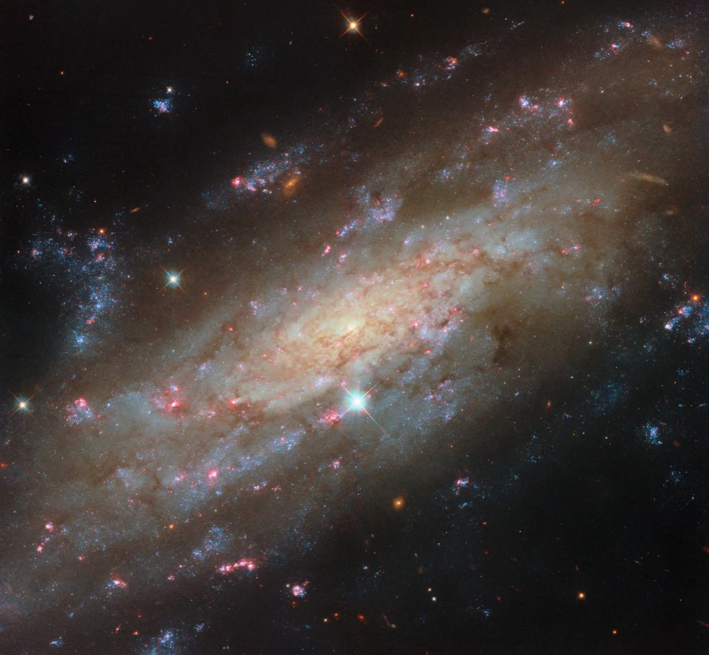 The spiral galaxy NGC 3137 stretches corner to corner in this new Hubble image, its disk transitioning from cooler yellow stars at the core to hotter blue ones at the edges, threaded through with dark dust lanes and glowing pink star-forming nebulae. The image was taken as part of the PHANGS-HST survey. Credit: ESA/Hubble & NASA, D. Thilker and the PHANGS-HST Team.
