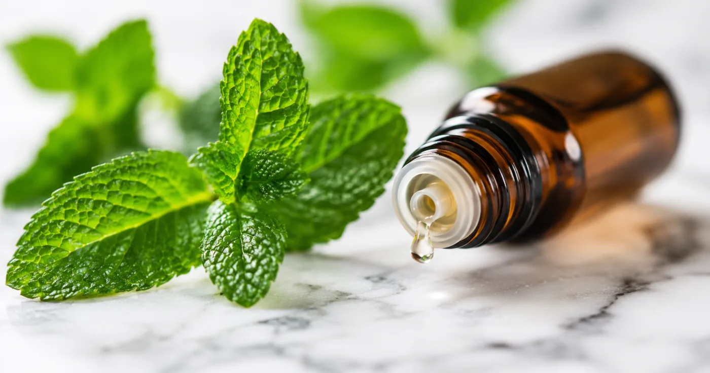 Peppermint oil is one of the most widely available and inexpensive natural supplements in the world. The key active ingredients — menthol and flavonoids — have long been studied for their effects on blood vessels. This new clinical trial is the first to test peppermint oil specifically in people who already have elevated blood pressure, using a proper placebo-controlled design. Image: NavsoraTimes