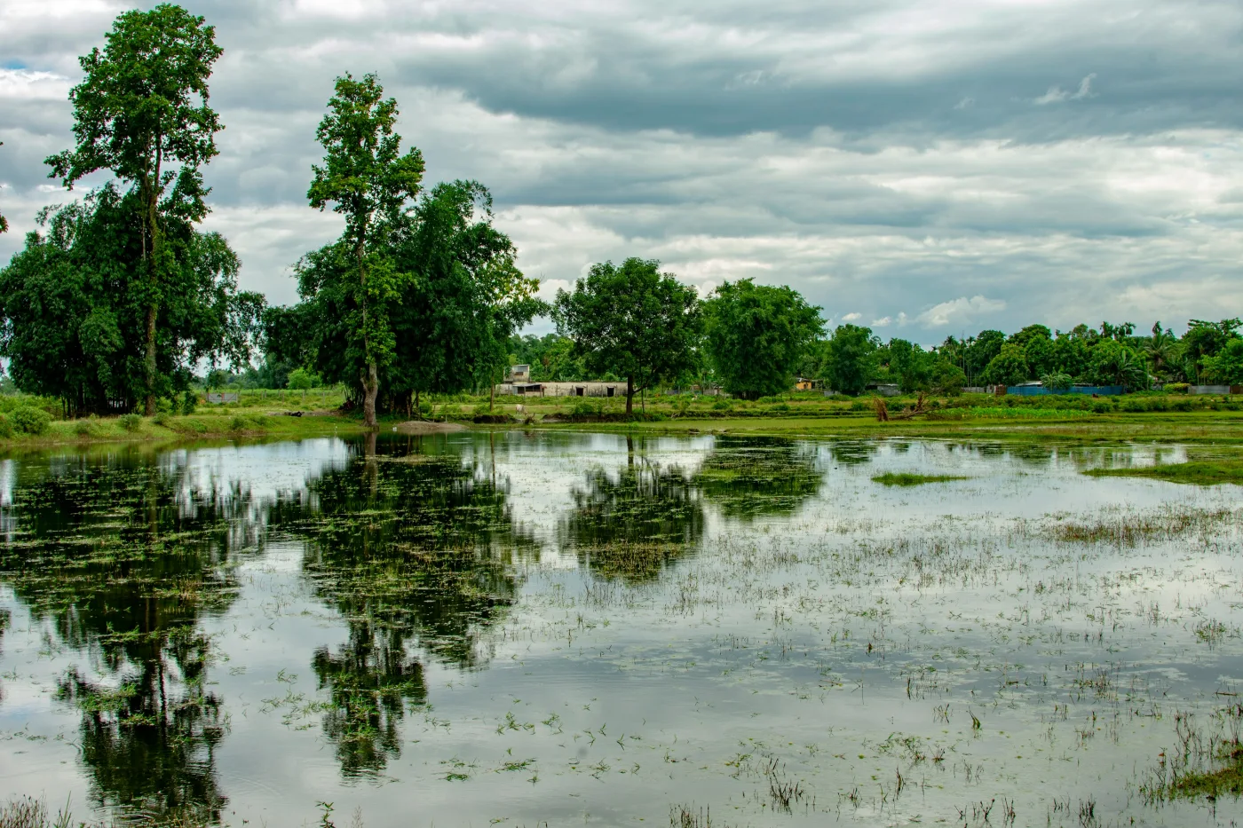 When the monsoon rain arrives, low fields fill with water and turn into wide, still mirrors. This is the rain millions of farmers wait for each year. An erratic monsoon can leave these same fields either dry or badly flooded. Image: NavsoraTimes / file photo.