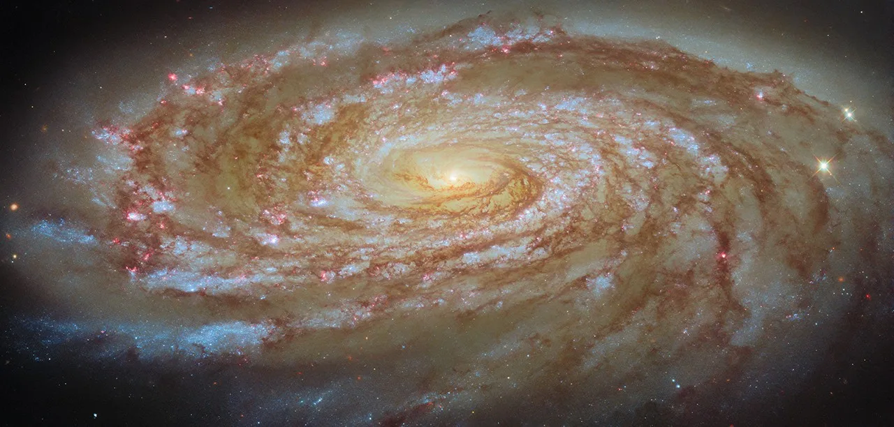 The full sweep of M88's spiral arms, glowing pink star-forming regions, and dark dust lanes are visible in this new Hubble image. The galaxy sits 63 million light-years from Earth in the constellation Coma Berenices. Image: ESA/Hubble & NASA, D. Thilker.