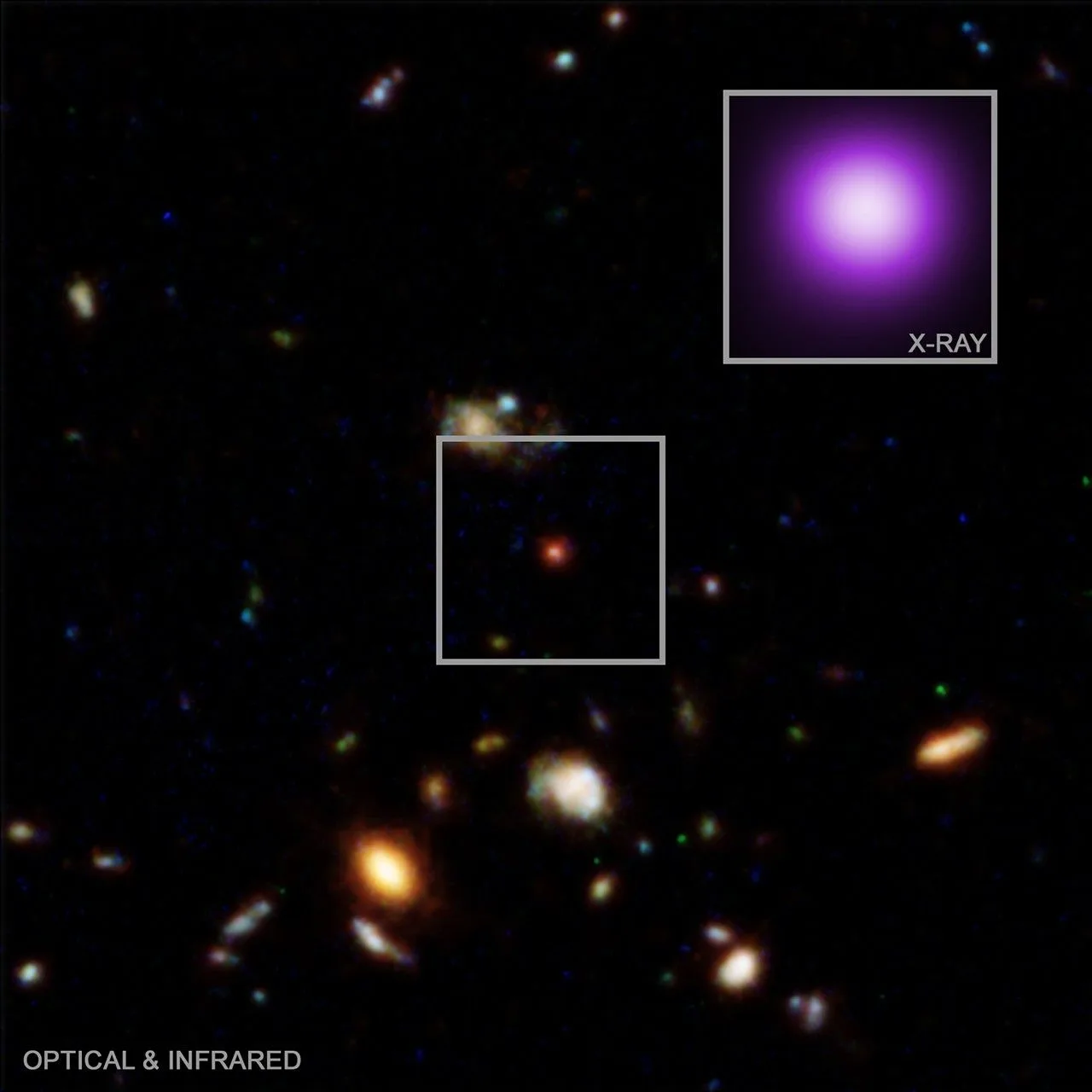 This composite shows the object dubbed the "X-ray dot," located roughly 11.8 billion light-years from Earth. The wide-field view from NASA's Hubble Space Telescope reveals the surrounding galaxy field, while the inset from NASA's Chandra X-ray Observatory captures the unusual X-ray glow that no other little red dot has shown. Image credit: X-ray: NASA/CXC/Max Planck Inst./R. Hviding et al.; Optica