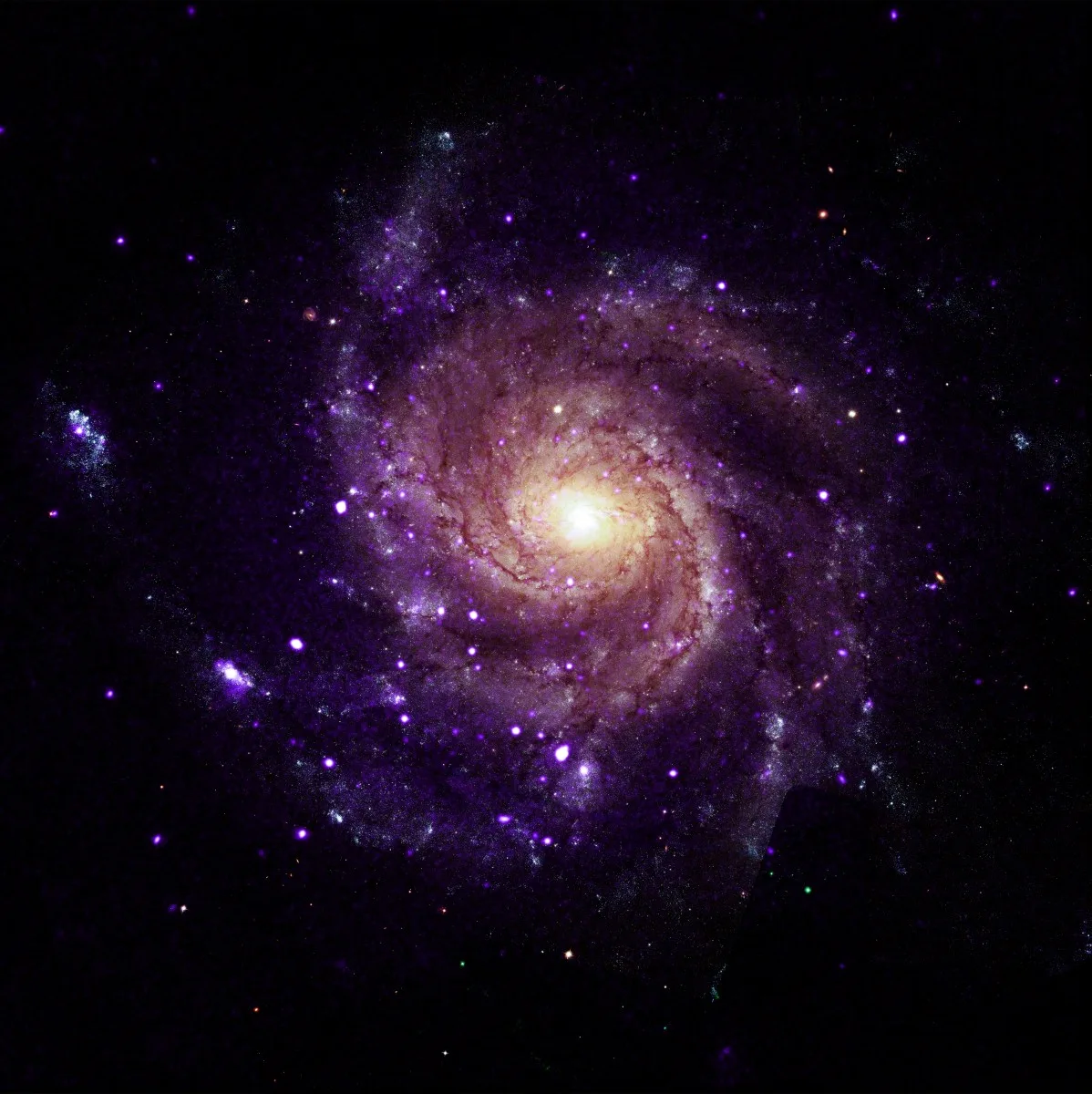Seven of the newly identified hypersoft X-ray sources are circled in this composite of the Pinwheel Galaxy, M101, combining Chandra X-ray data with a Hubble optical image. Credit: X-ray: NASA/CXC/Univ. of Alabama/M. Muhibullah et al.; Optical: NASA/ESA/STScI; Image Processing: NASA/CXC/SAO/N. Wolk.